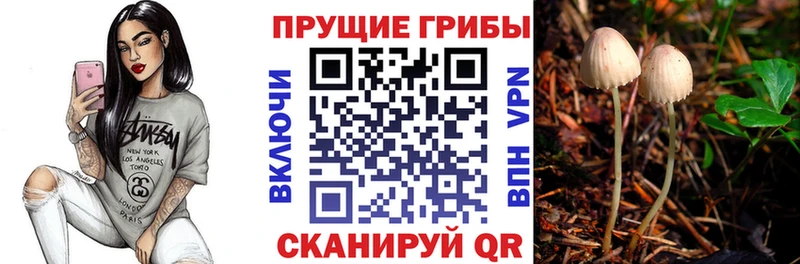 Псилоцибиновые грибы Psilocybine cubensis  гидра вход  Оха 